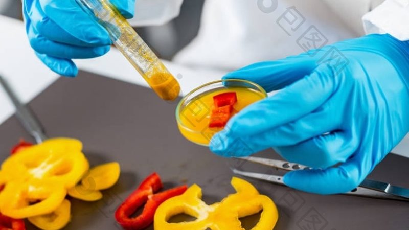 行业背景：食品代工的兴起与市场细分